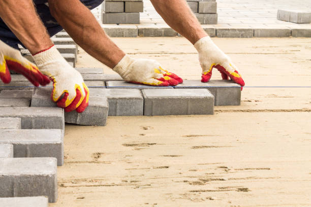 Best Driveway Paving Contractor  in Palatine, IL