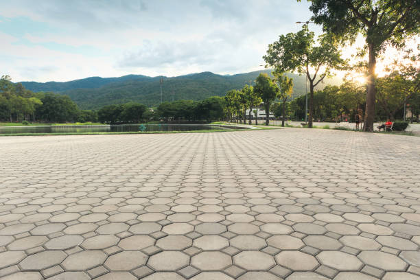 Best Residential Driveway Paver Services  in Palatine, IL