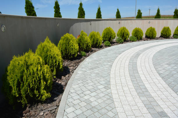 Paver Driveway Replacement in Palatine, IL