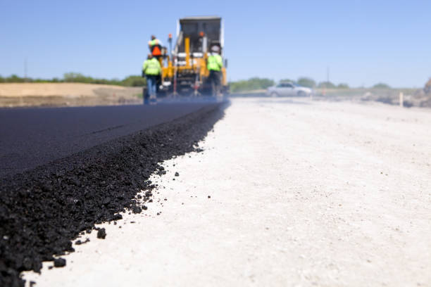 Best Residential Paver Driveway  in Palatine, IL